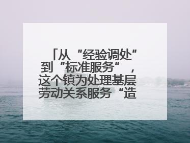 从“经验调处”到“标准服务”，这个镇为处理基层劳动关系服务“造标尺”
